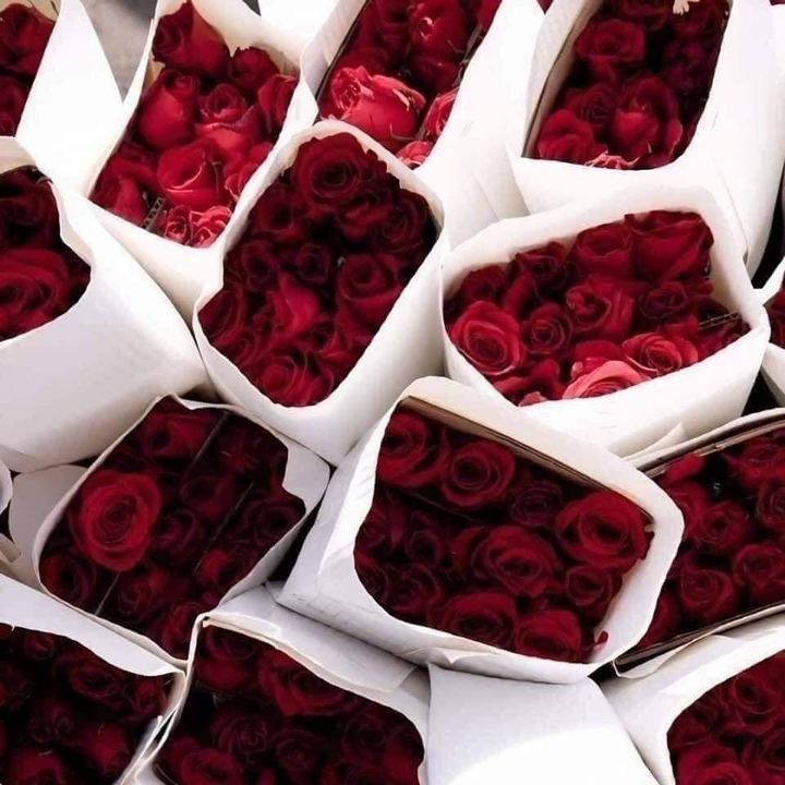❤❤❤
