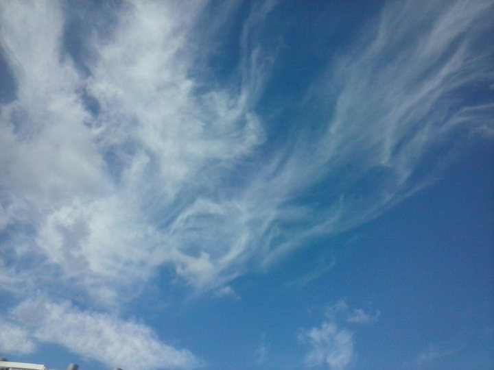 sunny