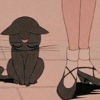 кот