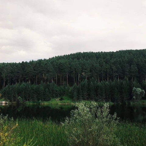orman