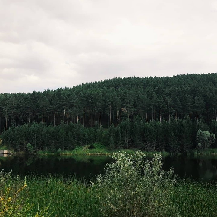 orman