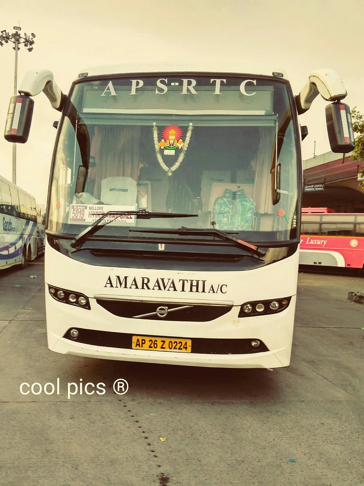 bus