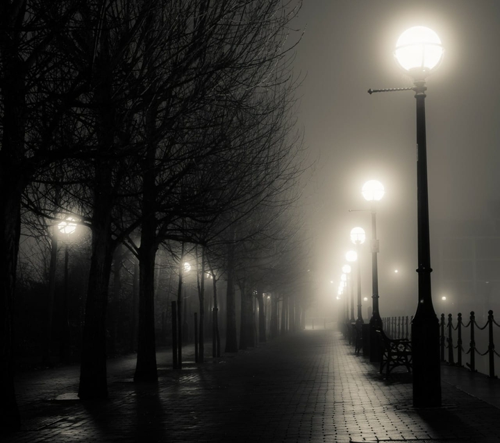 beauty of night