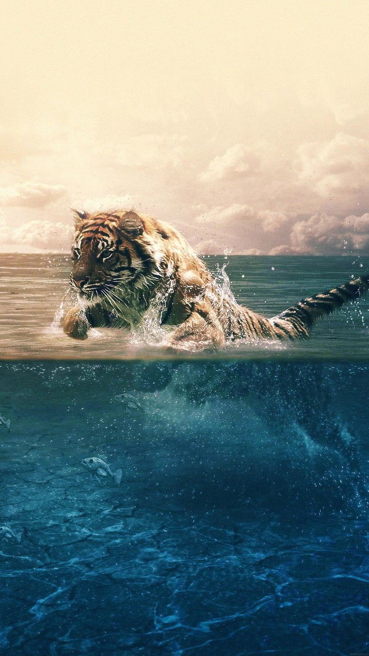 Tiger Lover