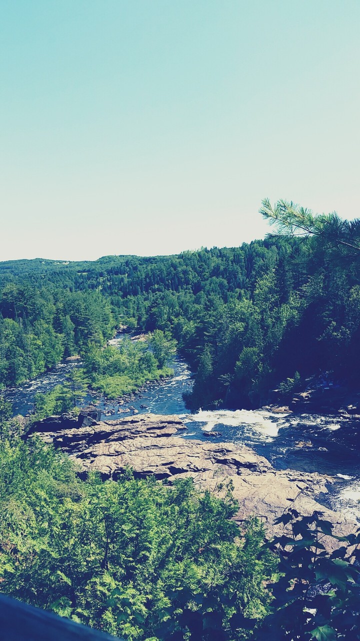 nature