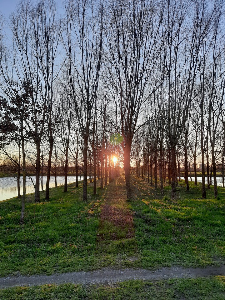parco Vettabbia (milano)