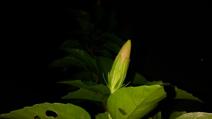Darkness..