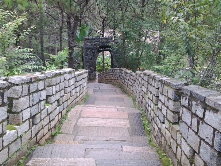 Long Bridge Through The Woods