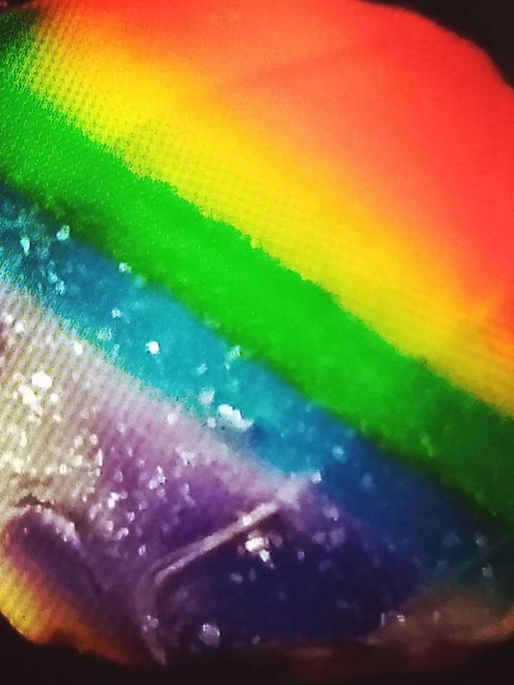 Gay Cookie