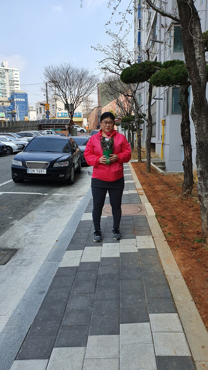 장미화분에것은덜거려있는모습