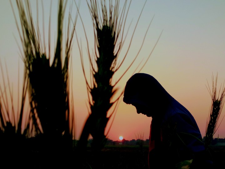 Alon Zafar