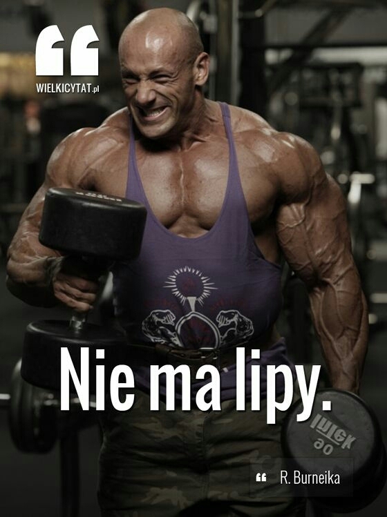 nie ma lipy