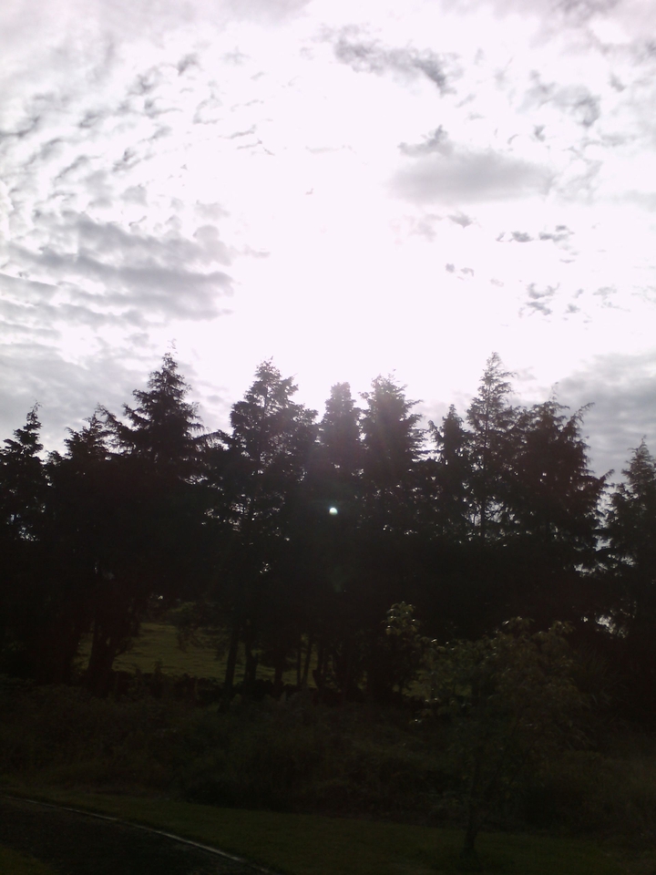 Nubes
