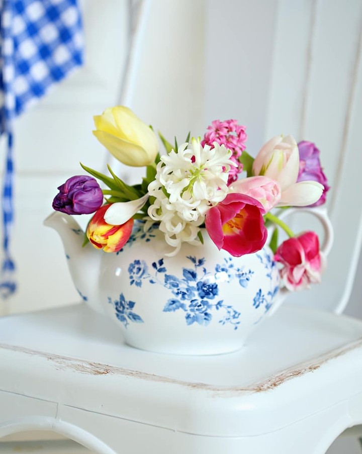 spring