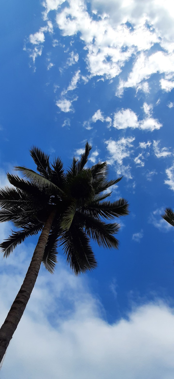 Cloudy Noon