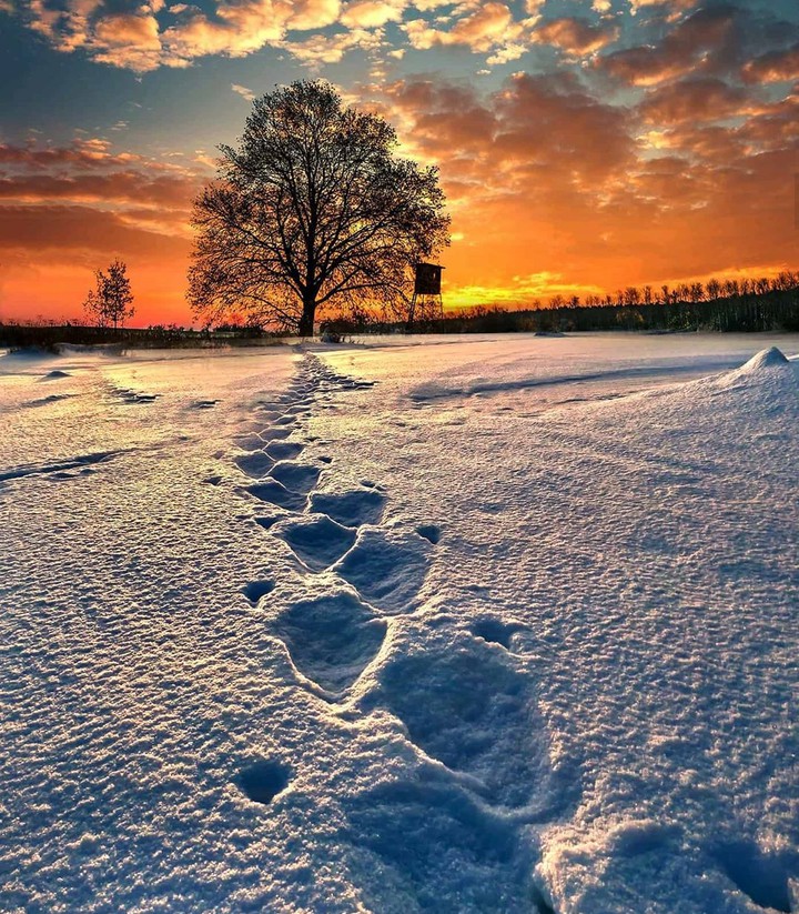 Footprints & sunset