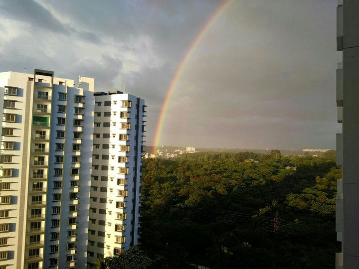 rainbow in every sky