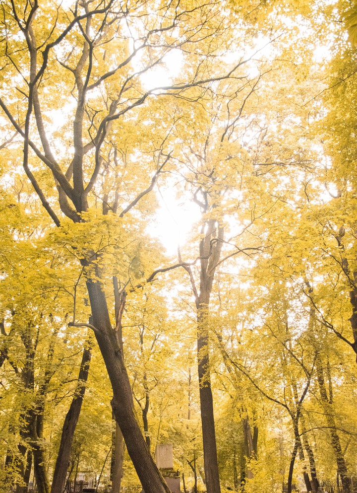 Autumn at the cemetery