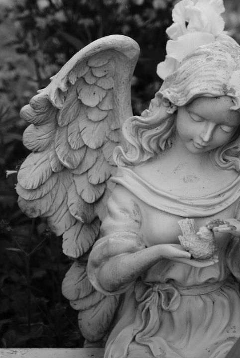 angel