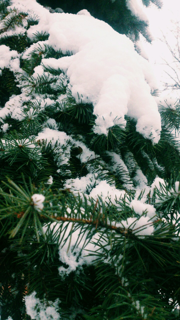 Snow
