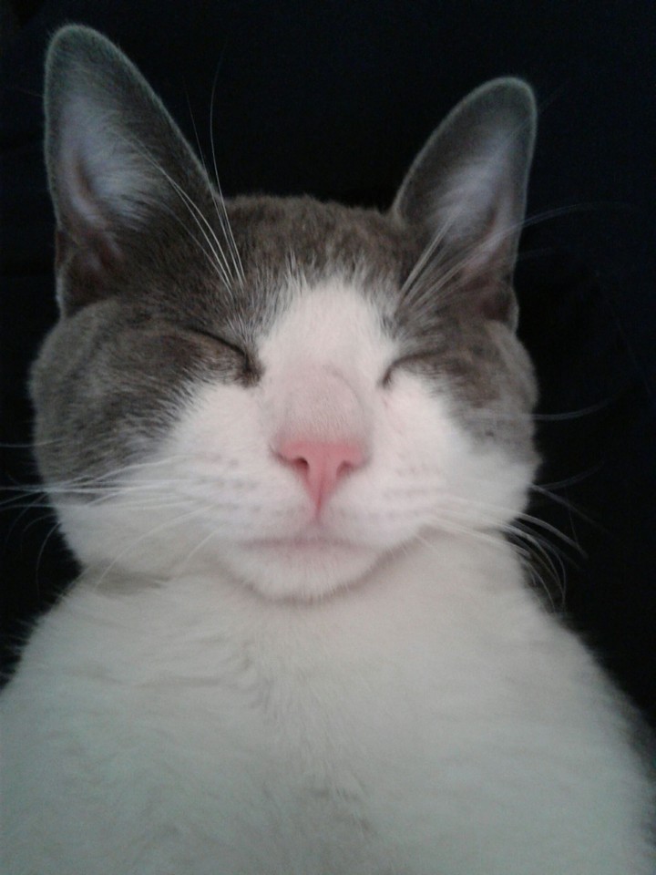 sleep
