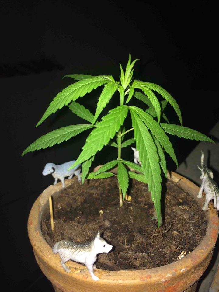Un mes de nacida ?