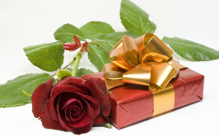 rosa