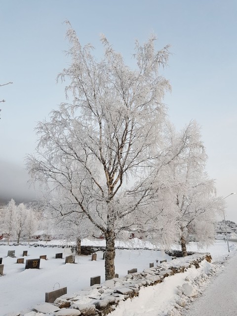 snow
