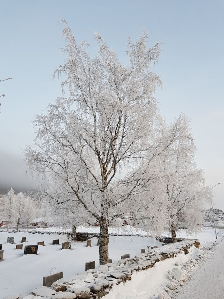 snow