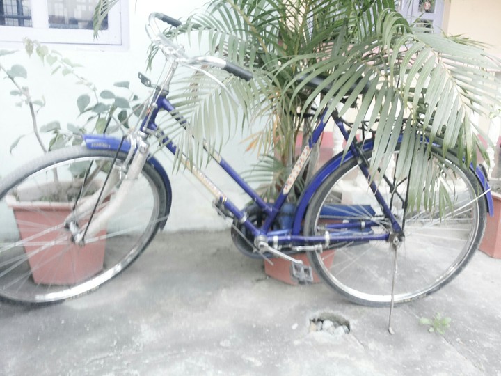 ,