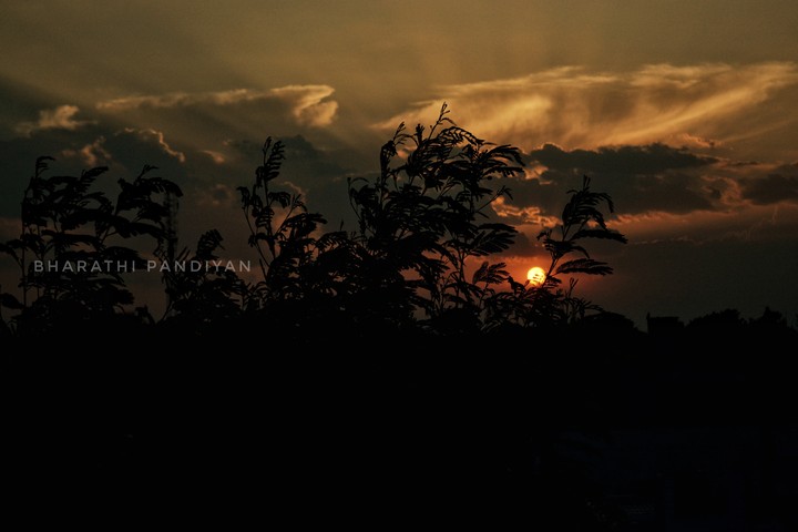 evening