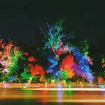colorfull