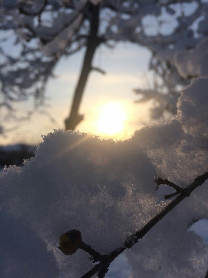 Sunrise