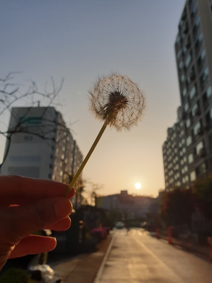노을