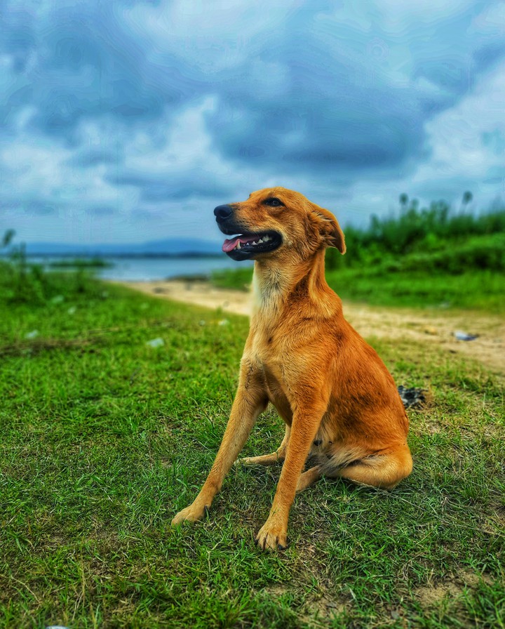 Pose For Pic ?