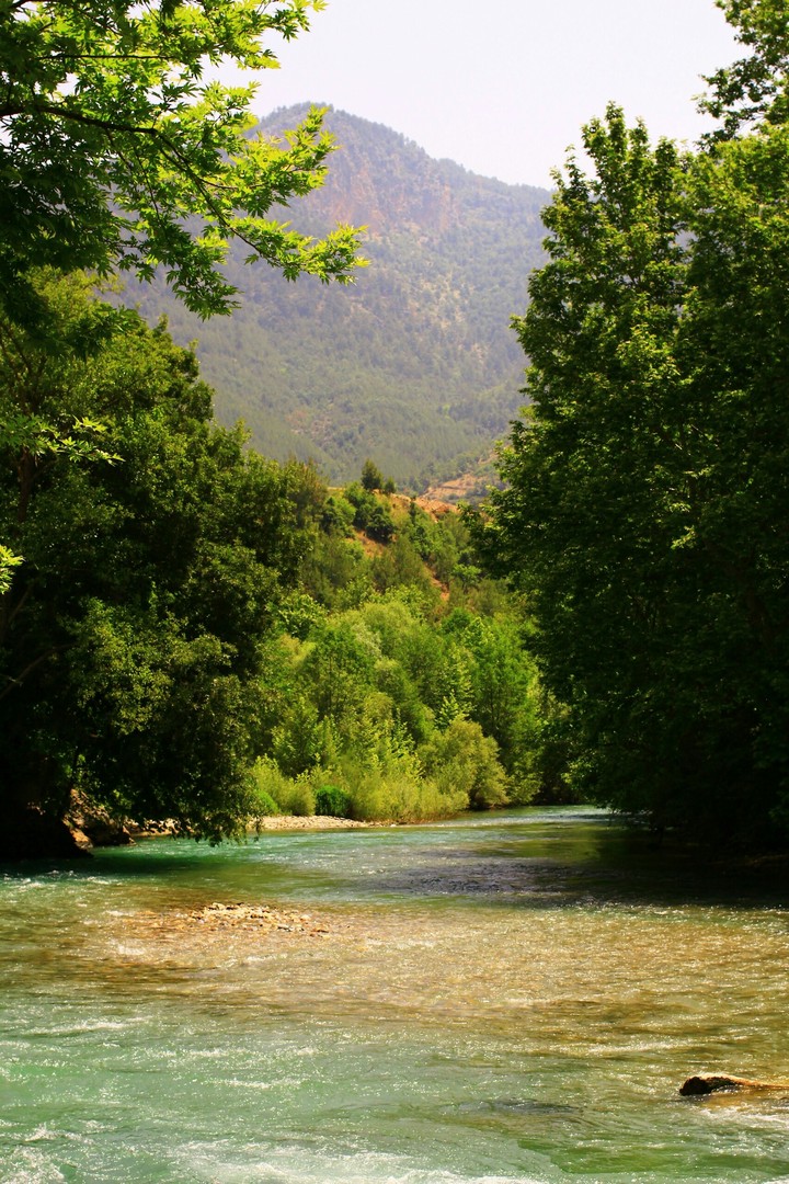 anamur