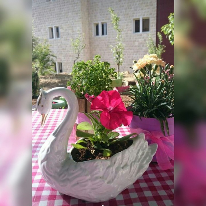 flower pot