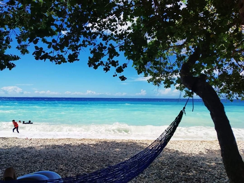 Island Life