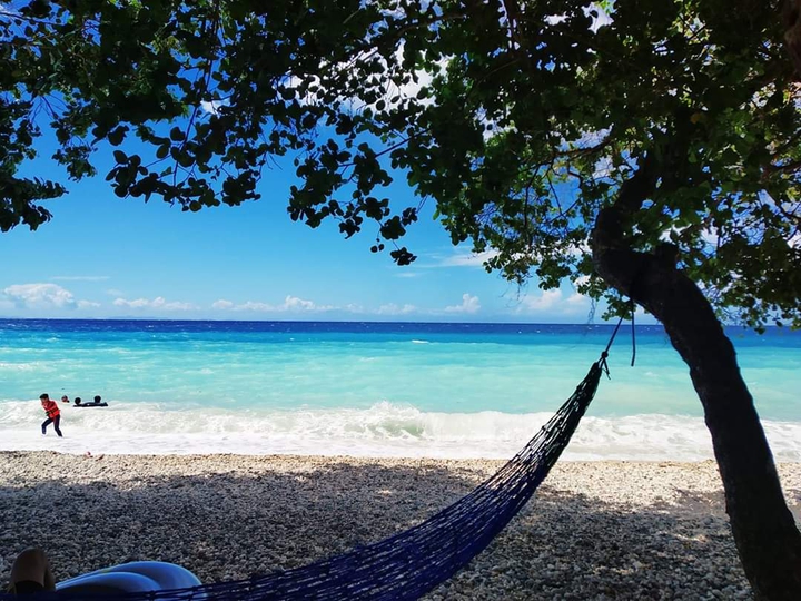 Island Life
