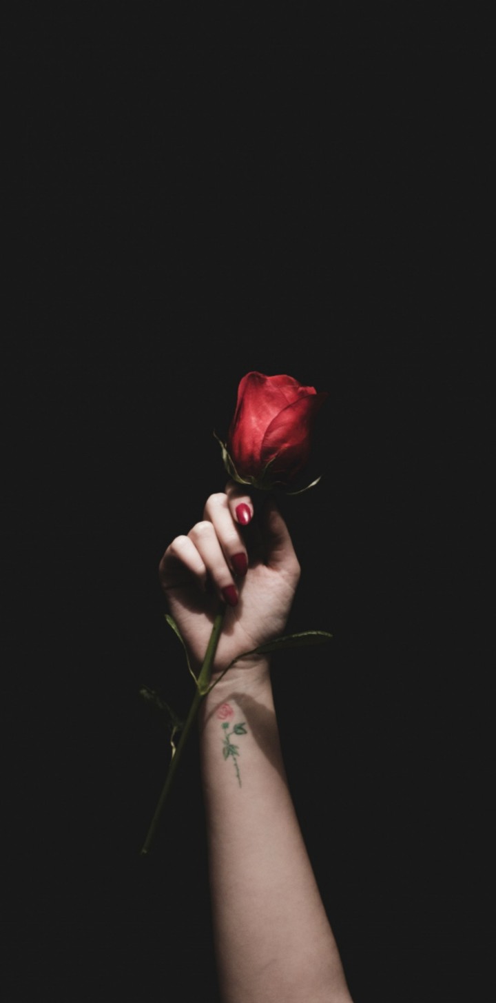 rose