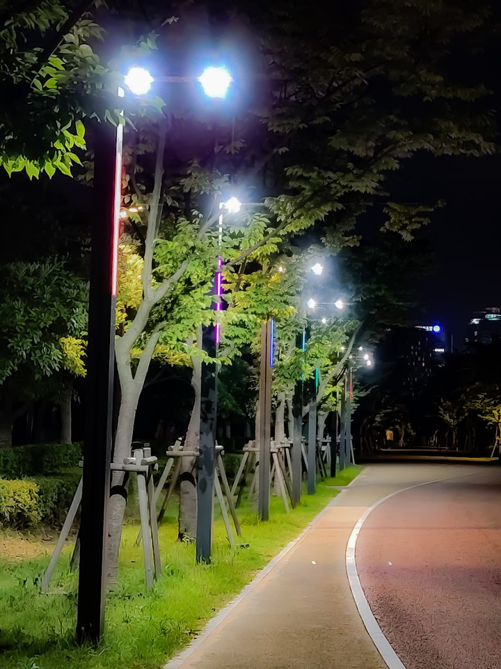 부산시민공원
