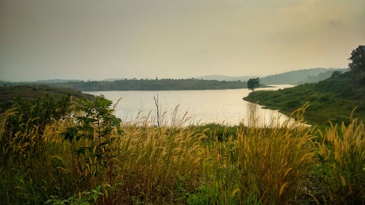 wayanad