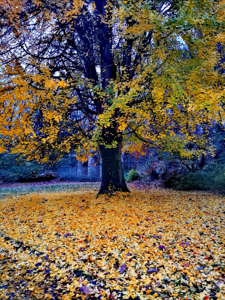 #herbst #2020
