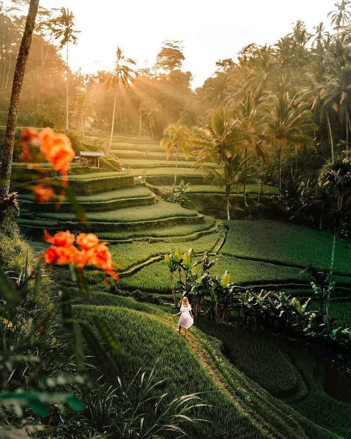 Pesona bali