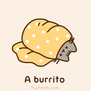 A Burrito