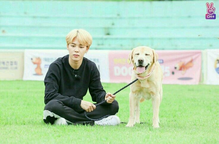 Jimin and dog
