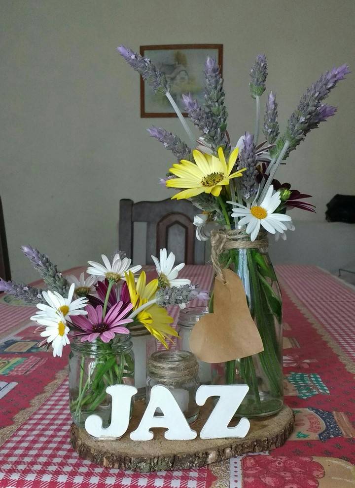 Mi jardín
