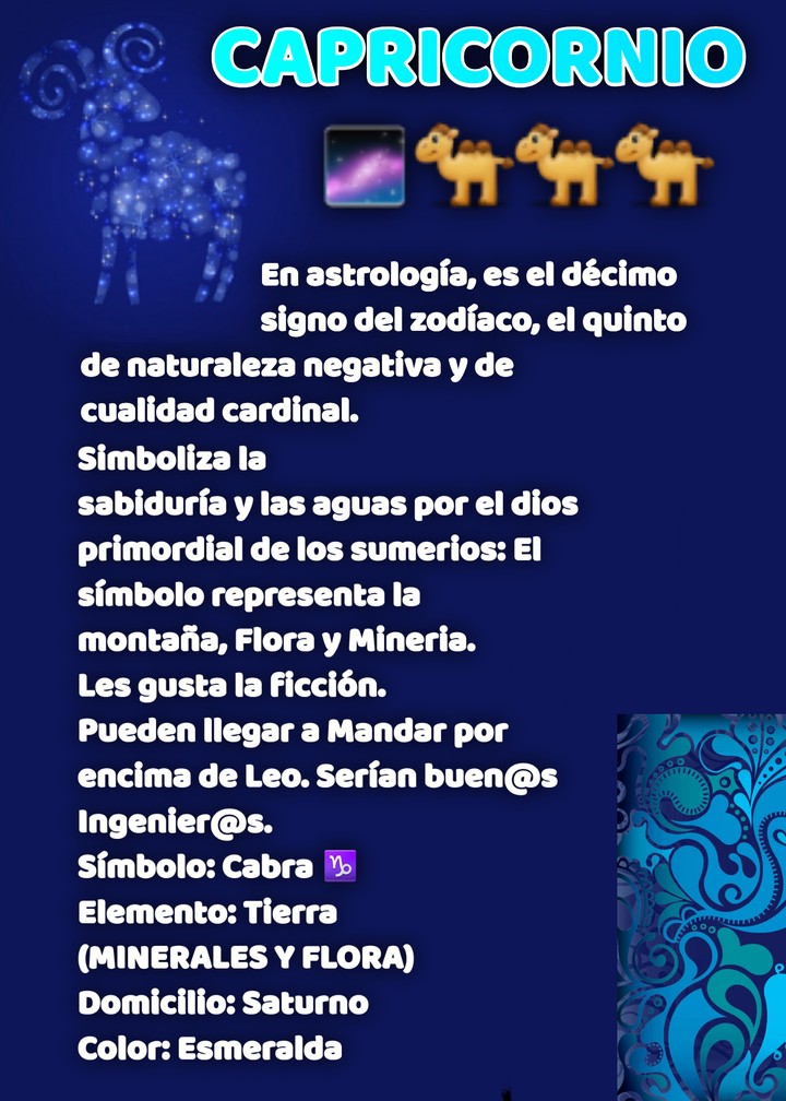 CAPRICORNIO