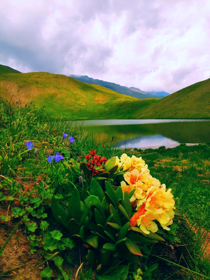 Wild nature