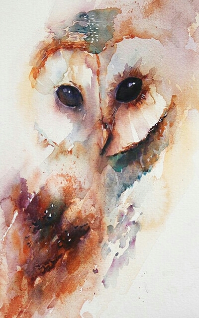 White owl